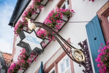 derSTERN Hersfeld, Bad Hersfeld (foto 5)