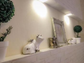 Studio Luxe on Victory Street in the city center, Vinnytsya (photo 4)