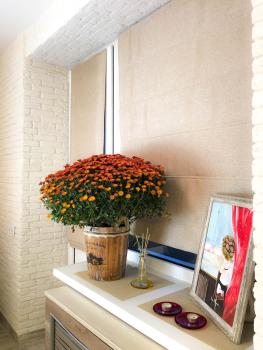 Studio Luxe on Victory Street in the city center, Vinnytsya (photo 5)