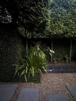 The 'Brick house' cottage near the beach, Auckland (photo 2)