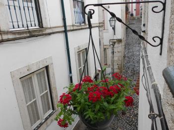 Apartamento Alfama 28, Lisabon (fotografie 3)