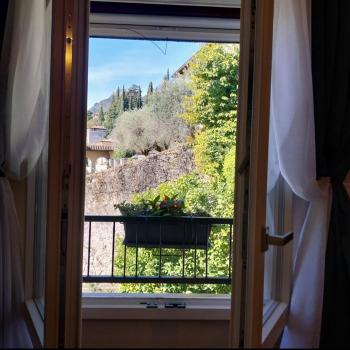 Il limone, Gargnano (fotografie 5)