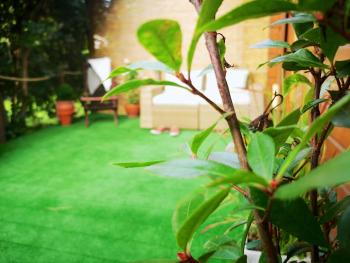 Apartment Berlin | Garden, Terrace, Nature, Berlin (photo 3)