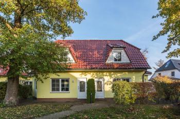 Wasserkäfer, Zingst (foto 2)
