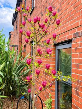 Igloo Magnolia Luxe Townhouse Stay I Free Parking, Leeds (Foto 4)