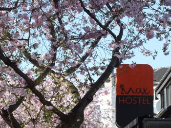 Max Hostel, Bonn (Foto 2)