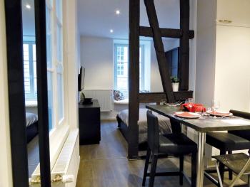 Appartement L'Ill au Sable, Strasbourg (photo 2)