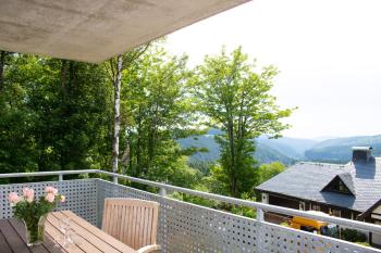 Welcome in - Apartment 13-K direkt an der Piste mit Balkon und Fahrrad- und Skiraum, Winterberg (Foto 4)