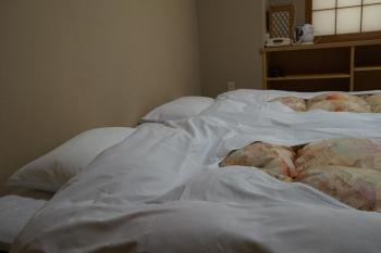 Annex Katsutaro Ryokan, Tokio (zdjęcie 4)