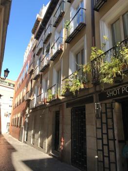 Apartment in Sol, Madrid (fotografie 5)