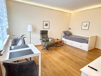 zentrumsnahe Leipzig-Apartments, nahe UFZ und BMW inkl Parkplatz und Fahrräder, Lipsk (zdjęcie 4)