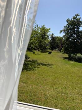 Appartement entier, calme & vue sur le parc, Geneva (photo 2)