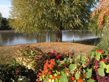Chiswick Riviera with free parking, Londýn (fotografie 3)