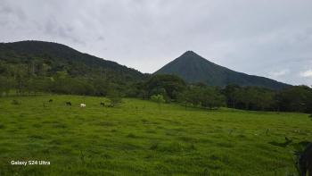 Tío Felix Eco Lodge, Fortuna (photo 2)