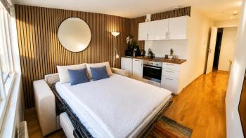 Quiet Top-Floor Studio in Central Oslo, Oslo (Foto 3)