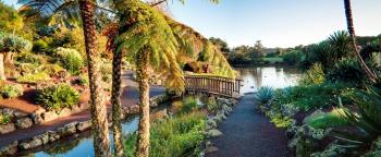 The Gardens Bed and Breakfast, Окленд (фото 4)