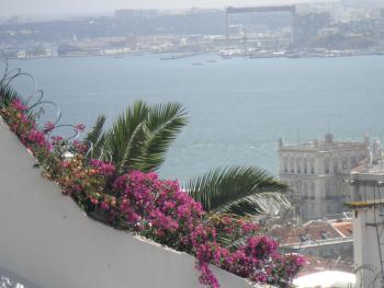 Apartment terrace Castelo S.Jorge, Lisbon (photo 3)