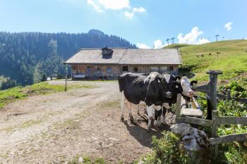 Müllerkaser, Lofer (Foto 5)