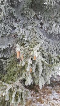 Potoczek 19, Międzylesie (zdjęcie 5)