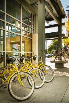 Staypineapple, Watertown Hotel, University District Seattle, Seattle (foto 5)