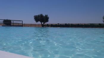 Terras - Agroturismo & Vinhos, Beja (foto 5)