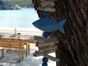 Kalypso Studio, Paleokastritsa (fotografie 3)