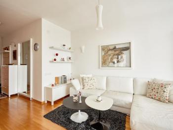 Luxury Apartment Near City Center, Skopje (photo 2)