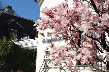 Hotel Landhaus Fuhrgassl-Huber, Vienna (photo 3)