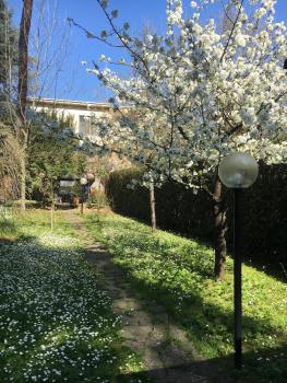 Old Town in the green: Federico's apartment., Florencie (fotografie 5)