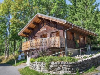 Chalet in Châtel near Les Portes du Soleil, Châtel (zdjęcie 3)
