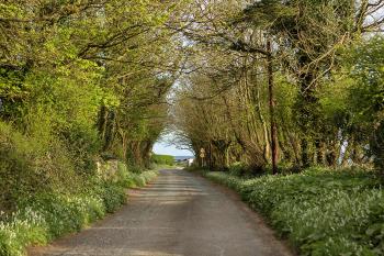 The Moat on the Greenway, Dungarvan (zdjęcie 4)