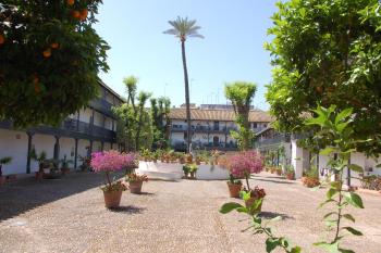 Luxury Apartment Plus Ultra, Sevilla (Foto 5)