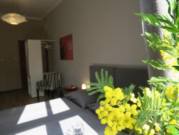 Pokoje Gościnne Poselska 20, Cracovia (foto 4)
