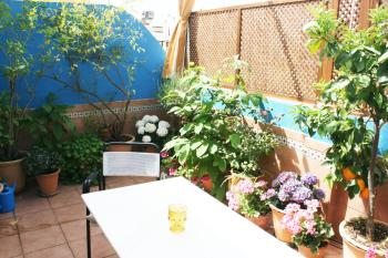 La Terraza Azul, Sevilla (Foto 2)