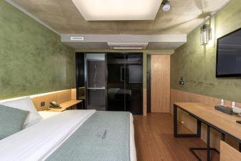 Delight Hotel Jamsil, Seul (foto 3)