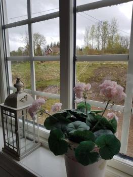 Bashults Gård, Jönköping (photo 3)