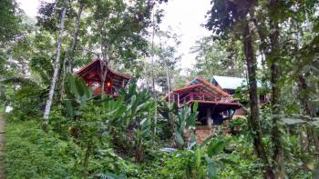 Surf Break at Paunch, Bocas del Toro (photo 5)