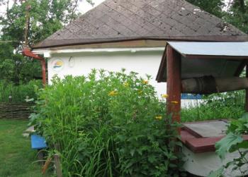 Kалиновий Kущ, Dmitrenki (Foto 4)