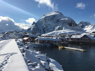 Lofoten Fishing