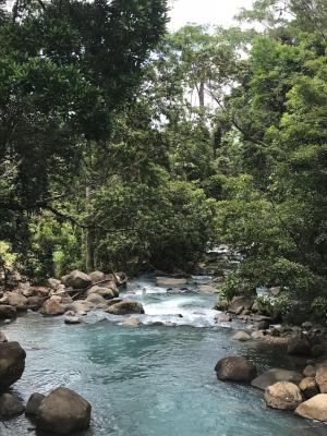 La Piña, Rio Celeste