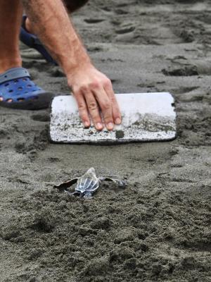 Casa Grande at Pacuare Reserve