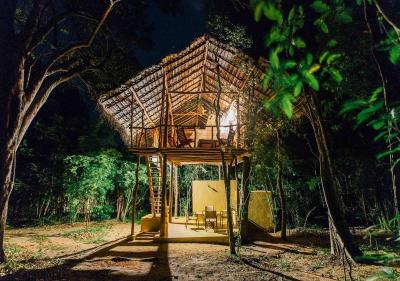 Back of Beyond - Pidurangala