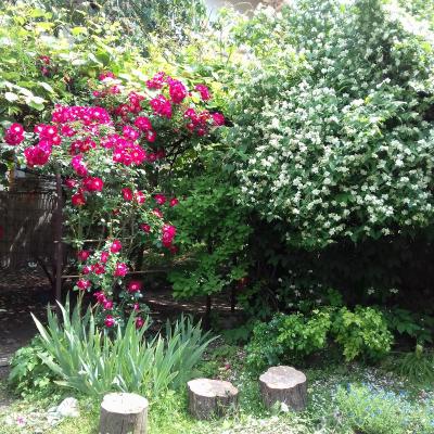 Apartments Kapus Center