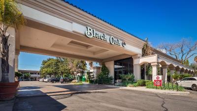 Best Western Plus Black Oak