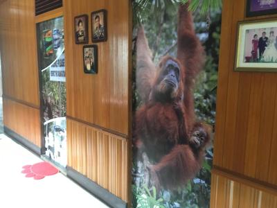 Review Arut Riverside Guesthouse