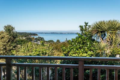 Hedgehog Heights - Waiheke Island