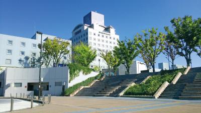 Hotel Nikko Tsukuba