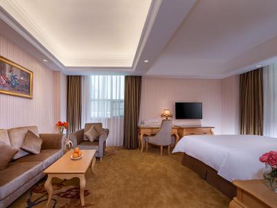 Vienna International Hotel Shenzhen Longhua Center