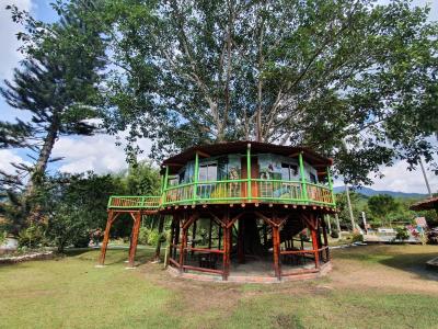 Room in Lodge - Tree House Finca La Floresta Verde