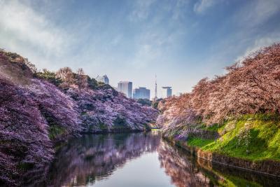 Four Seasons Hotel Tokyo at Otemachi